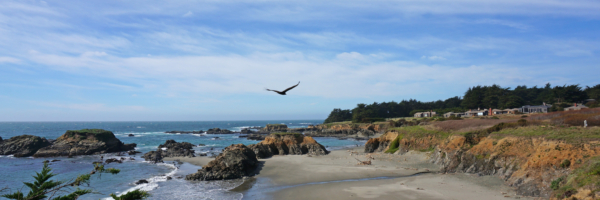 Sea Ranch Coastal Realty